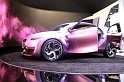 IAA Frankfurt   021